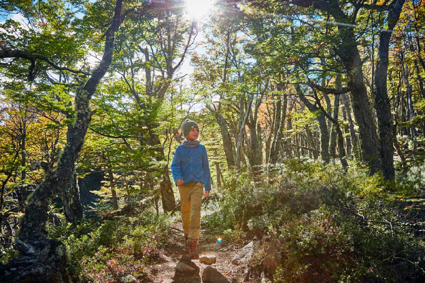Reserva ecologica Fundo Cheñue