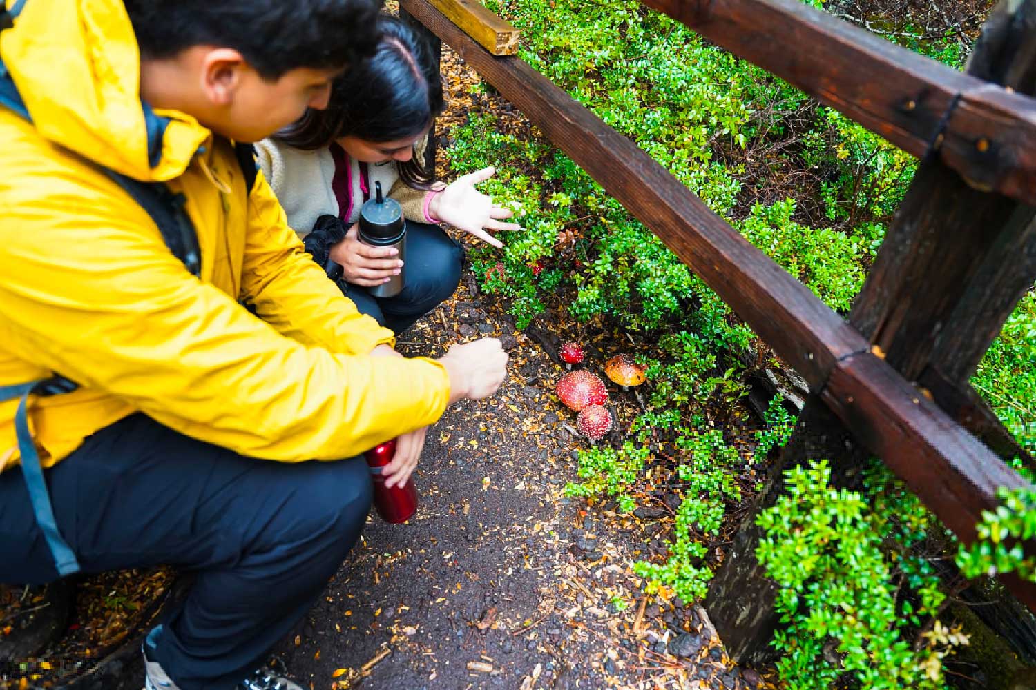 Senderismo educativo - Funga Reserva ecológica Fundo Cheñue